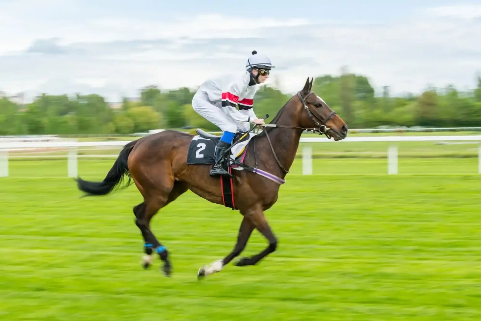 What Are the Top Horse Racing Betting Tips?